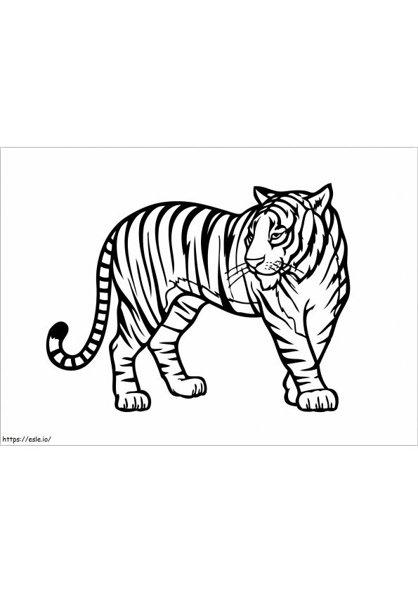 Tigre básico para colorear