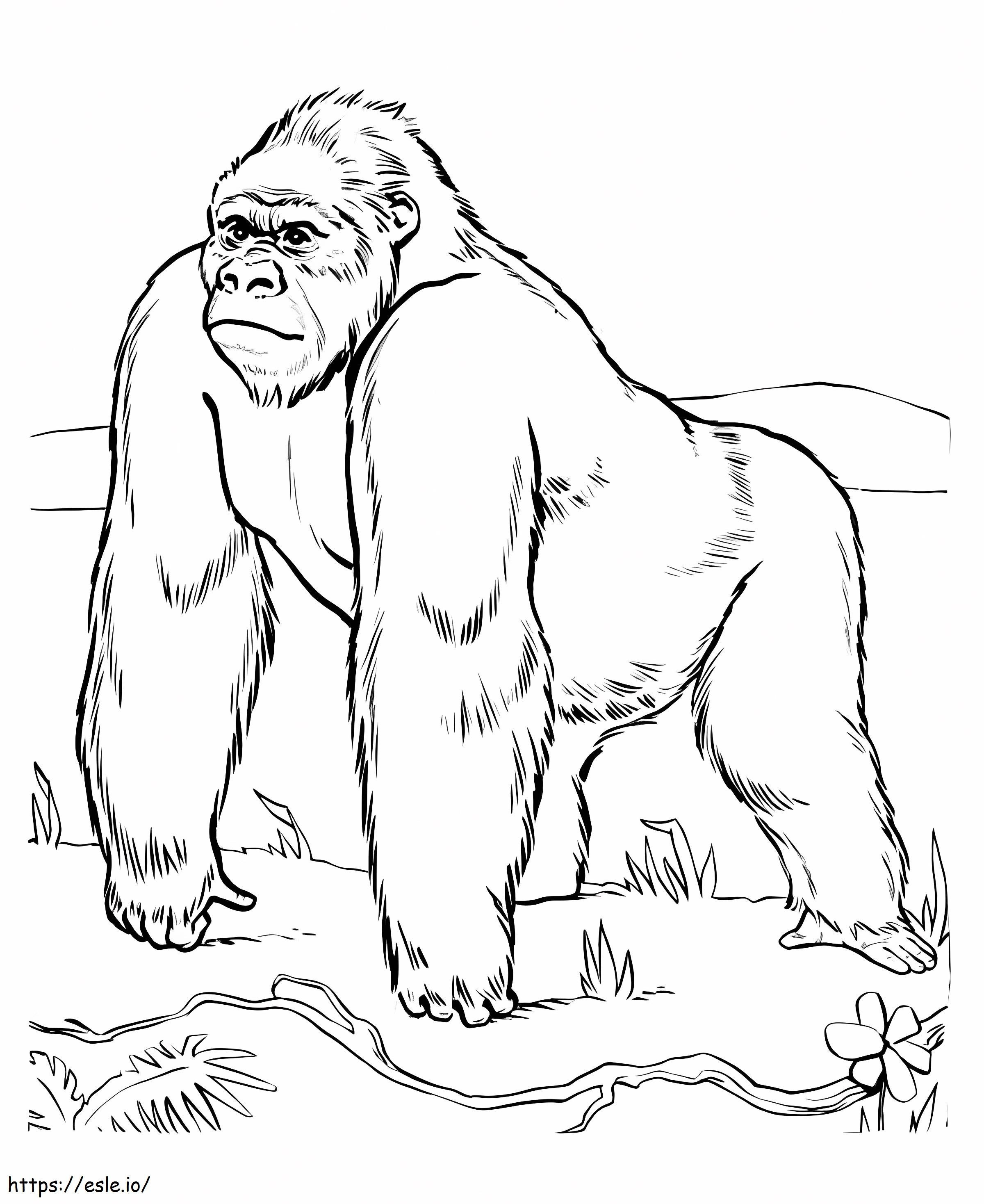 Coloriage Grand gorille à imprimer dessin