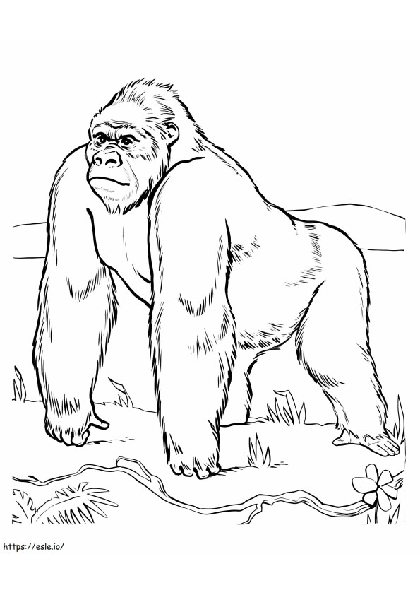 Coloriage Grand gorille à imprimer dessin