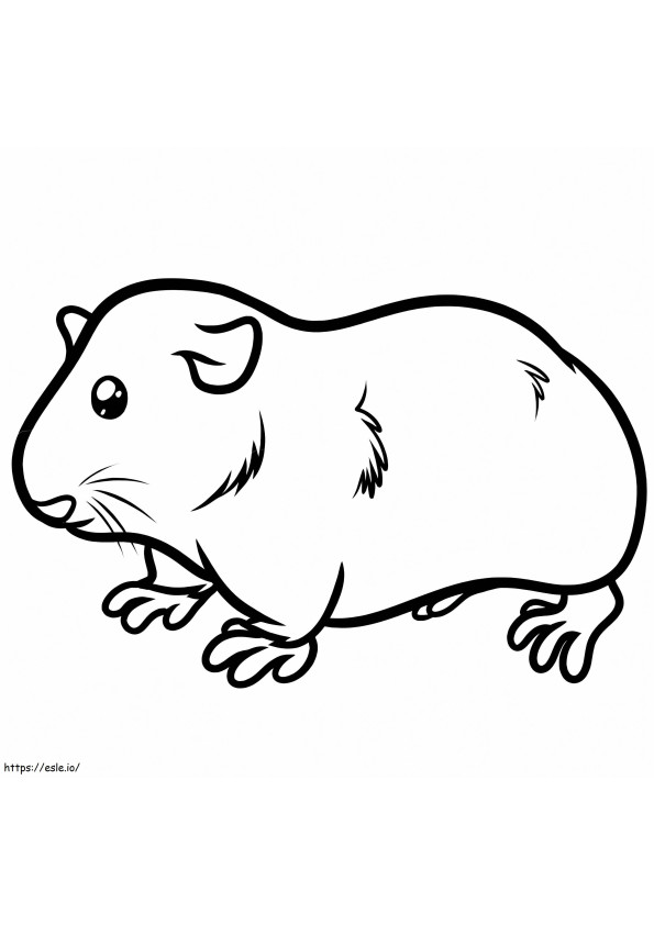 Pretty Guinea Pig coloring page