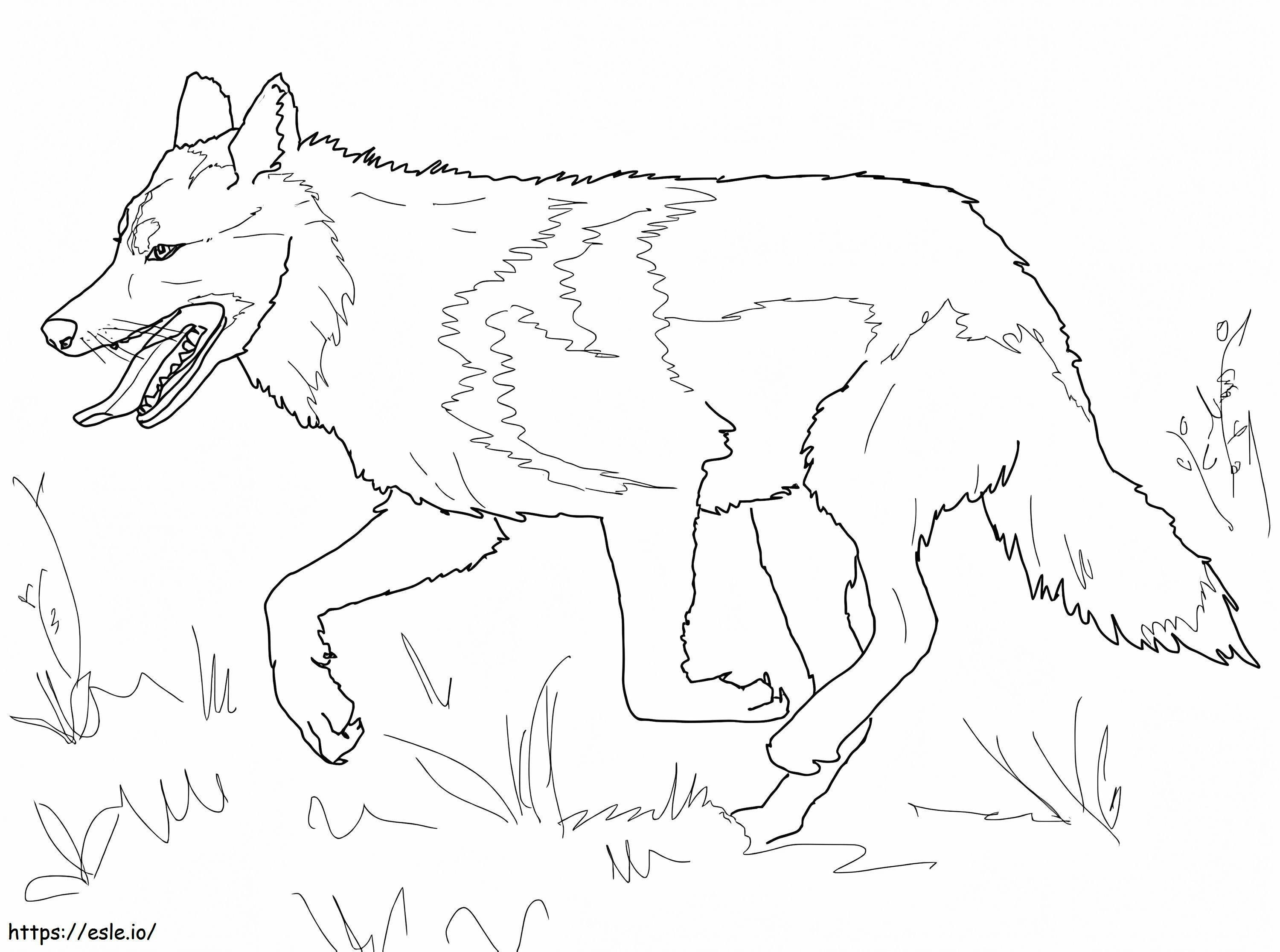 Mexikanischer grauer Wolf läuft ausmalbilder