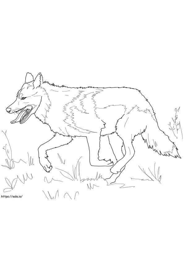 Mexican Gray Wolf Running coloring page