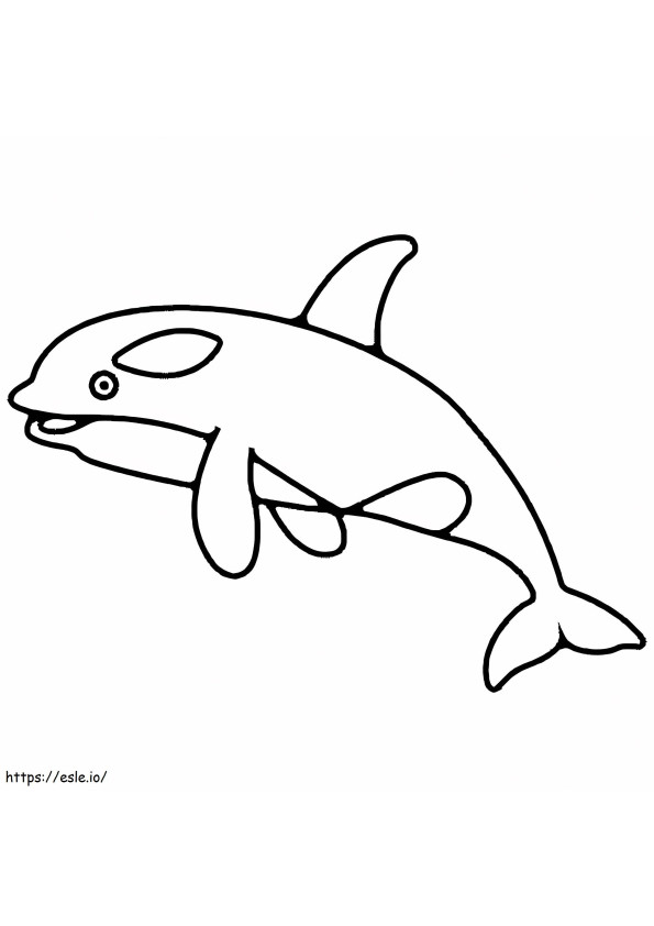 Cute Orca