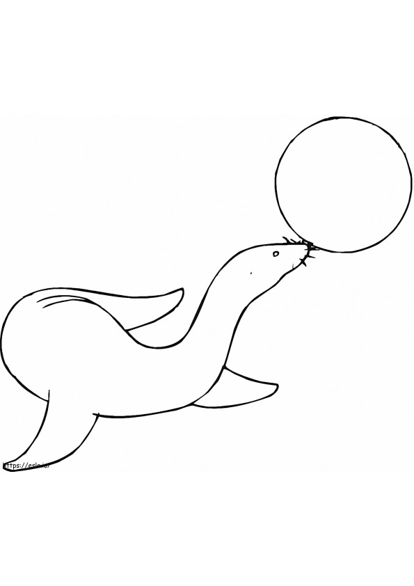 Sea Lion And Ball coloring page