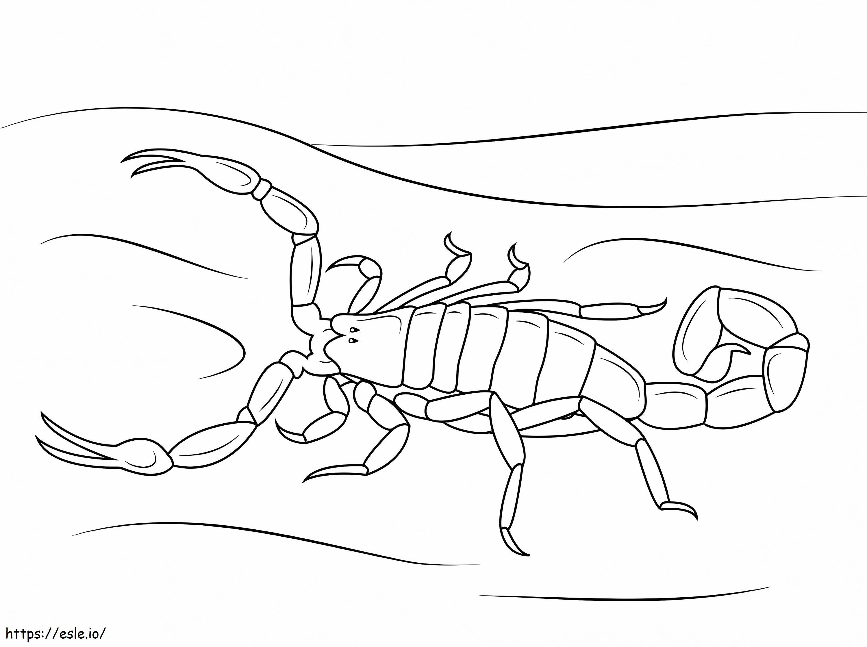 Scorpion cu scoarță dungi de colorat