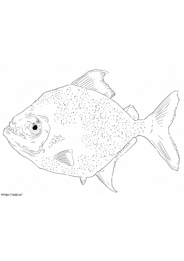 Wimple Piranha coloring page
