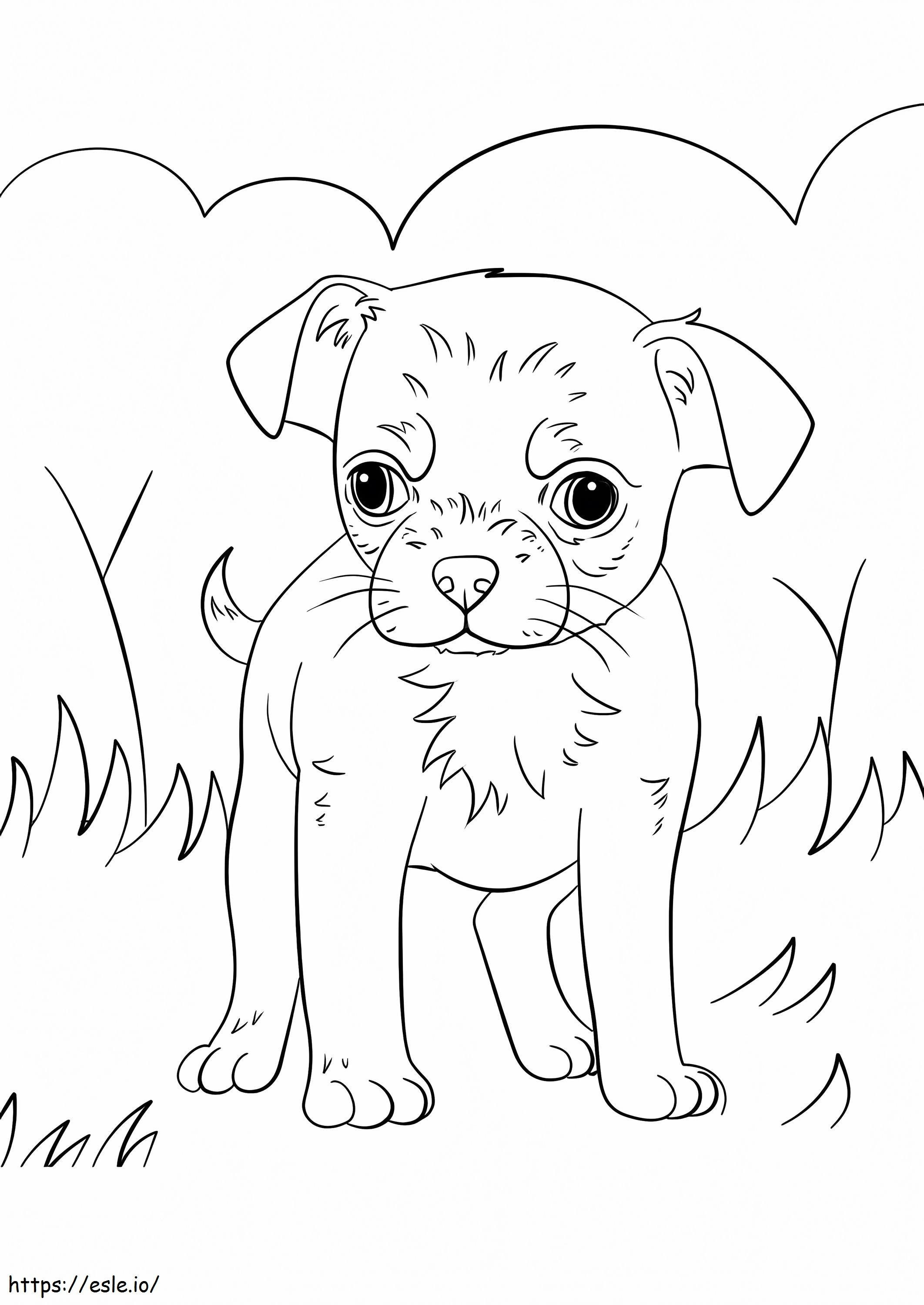 Chihuahua Puppy coloring page