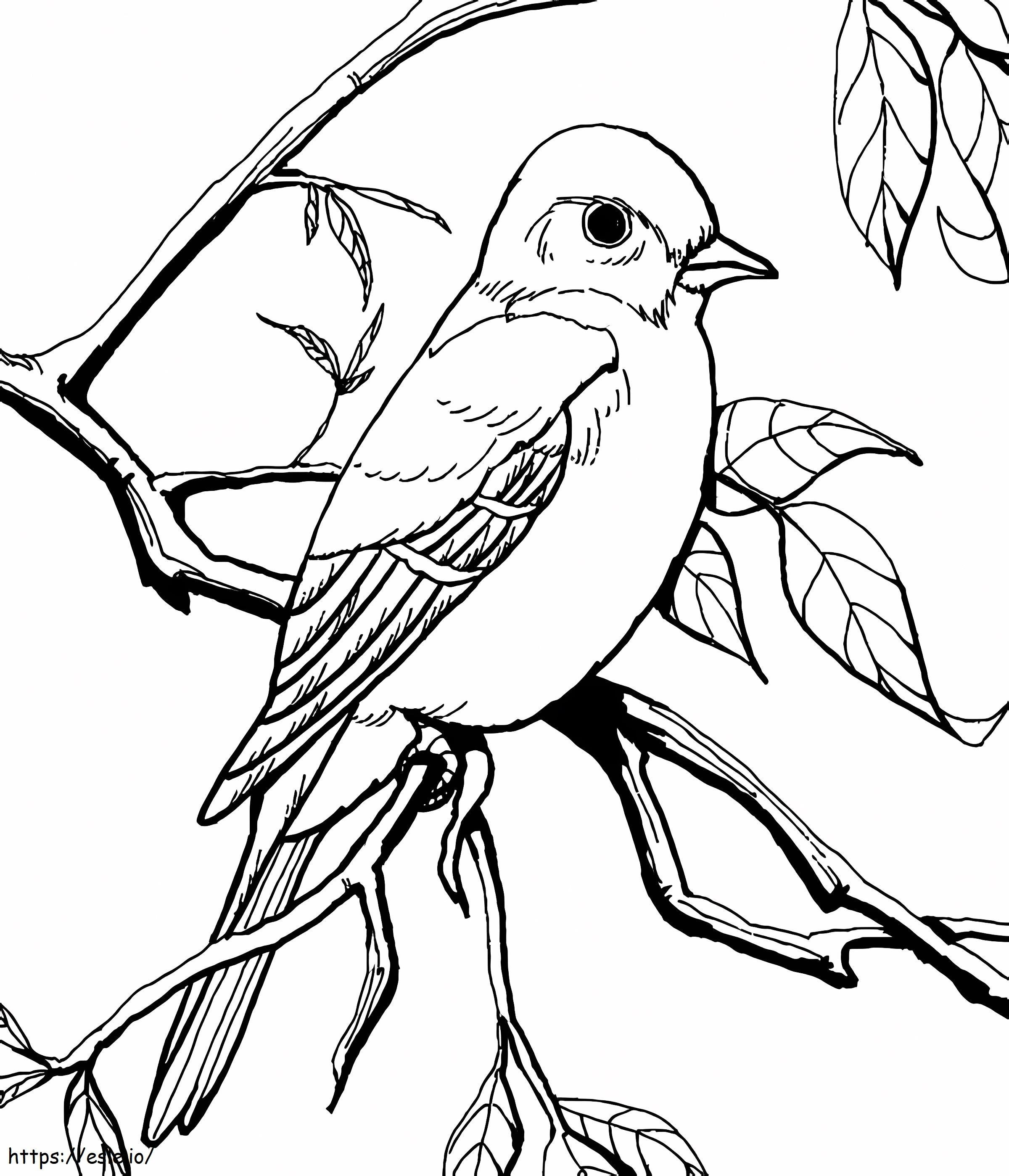 Texas Nightingale coloring page
