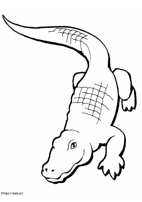 Coloriage Alligator gratuit à imprimer dessin