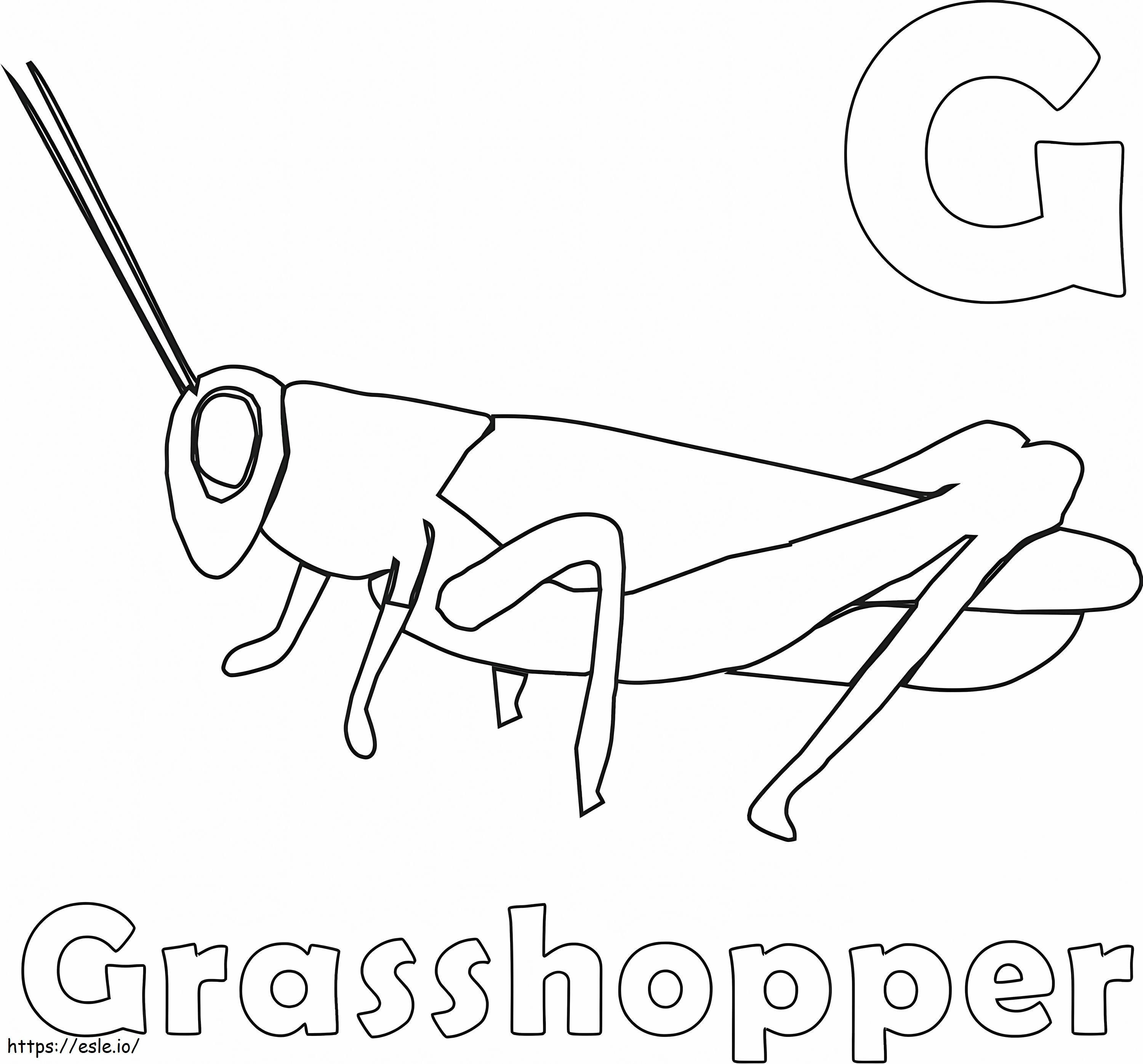 G And Grasshopper coloring page