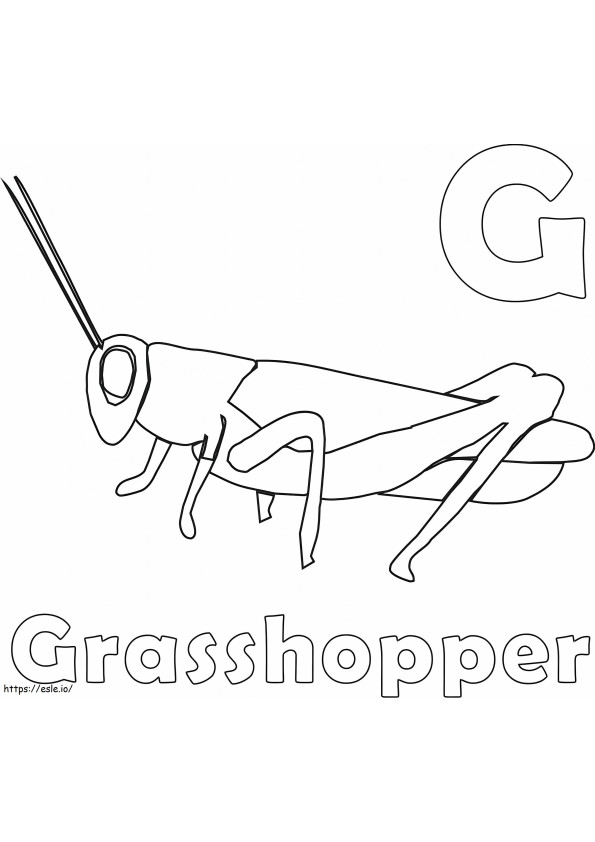 G And Grasshopper coloring page
