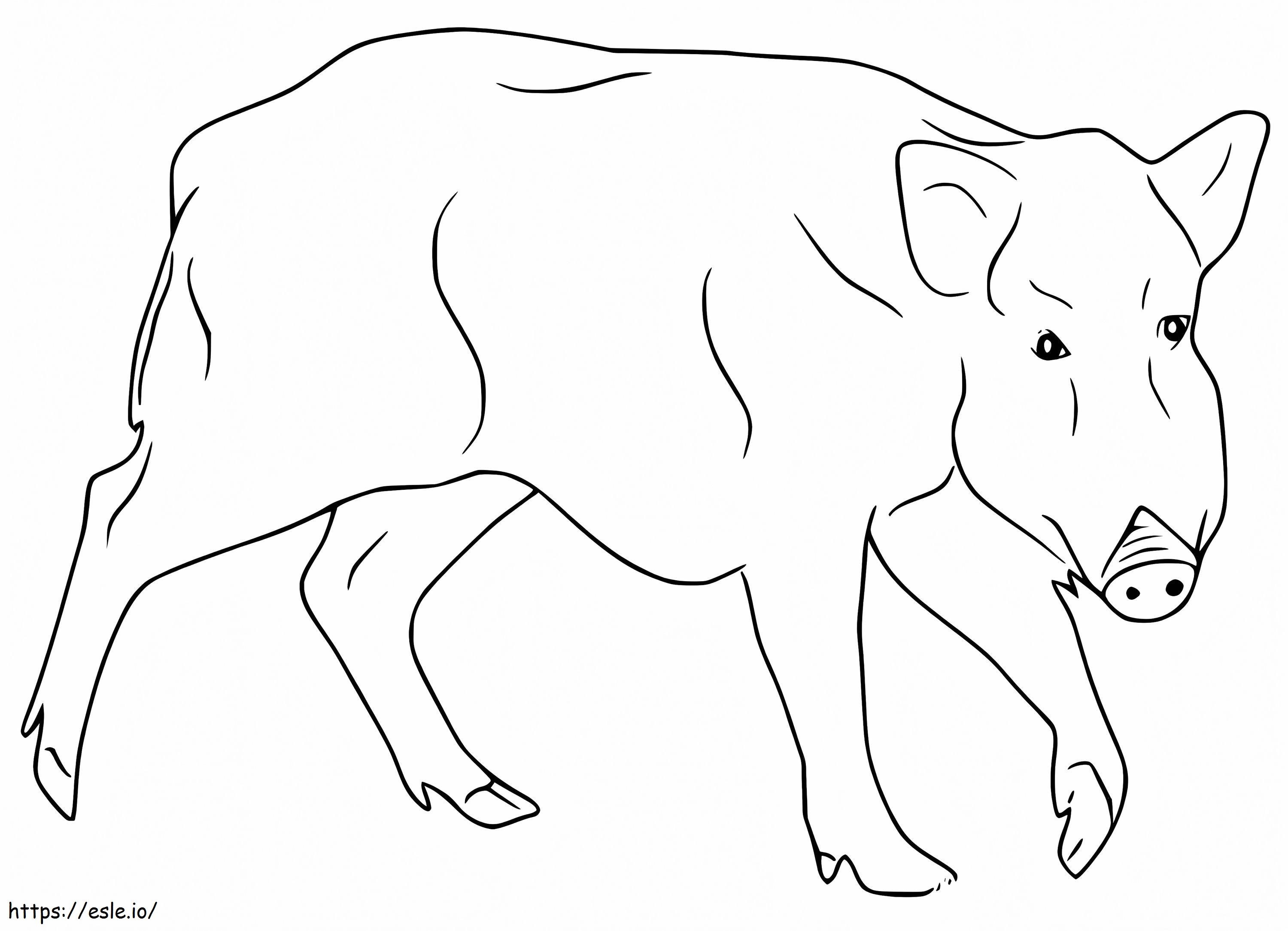 Wildschwein zum Ausdrucken - Ausmalbild für Kinder