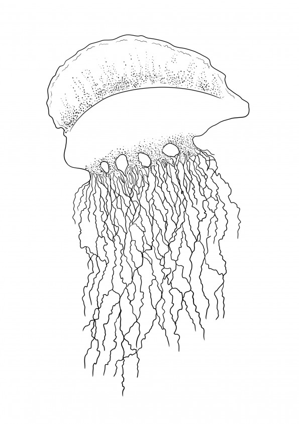 Super big jellyfish coloring page to print for free