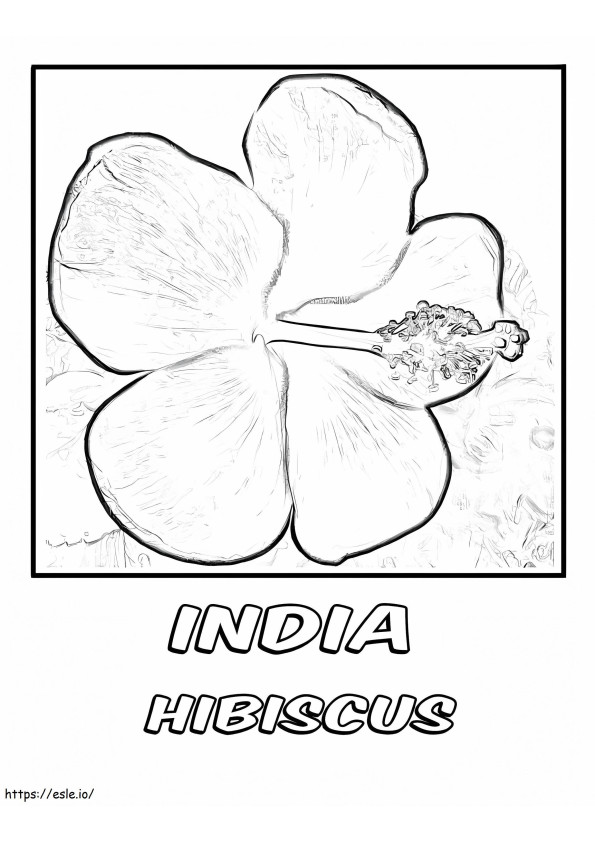 Hibisco da Índia para colorir