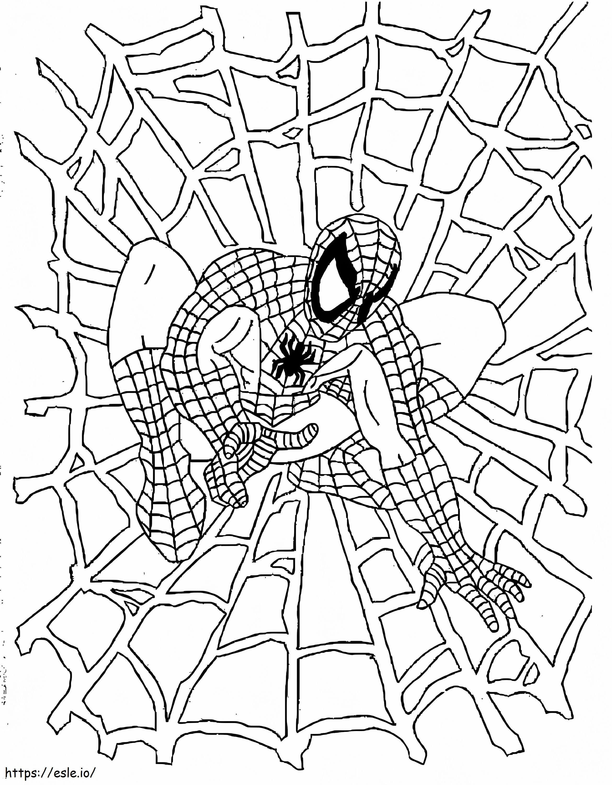 Spiderman e la rete da colorare