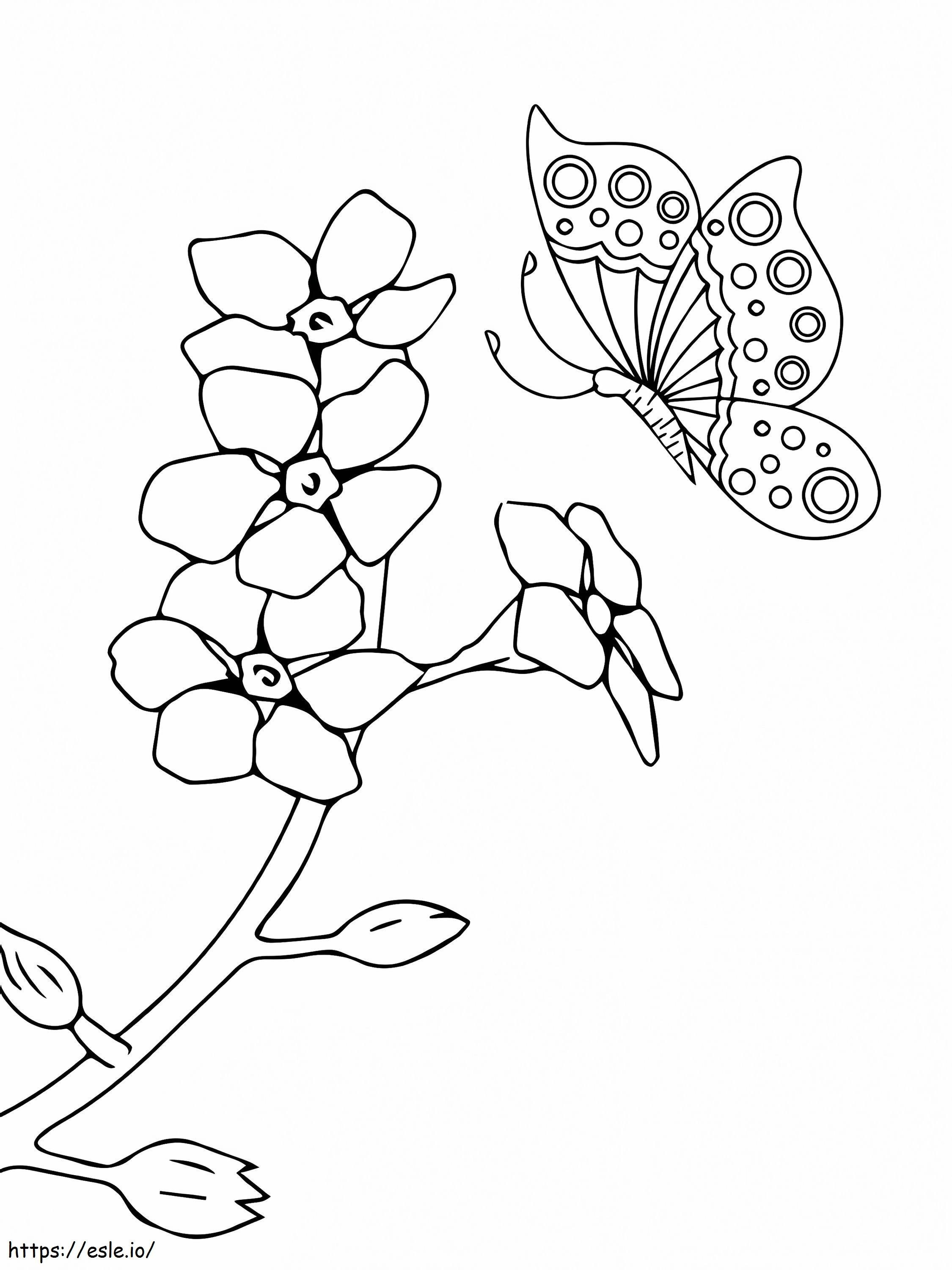 プアケニケニ 花と蝶 ぬりえ - 塗り絵