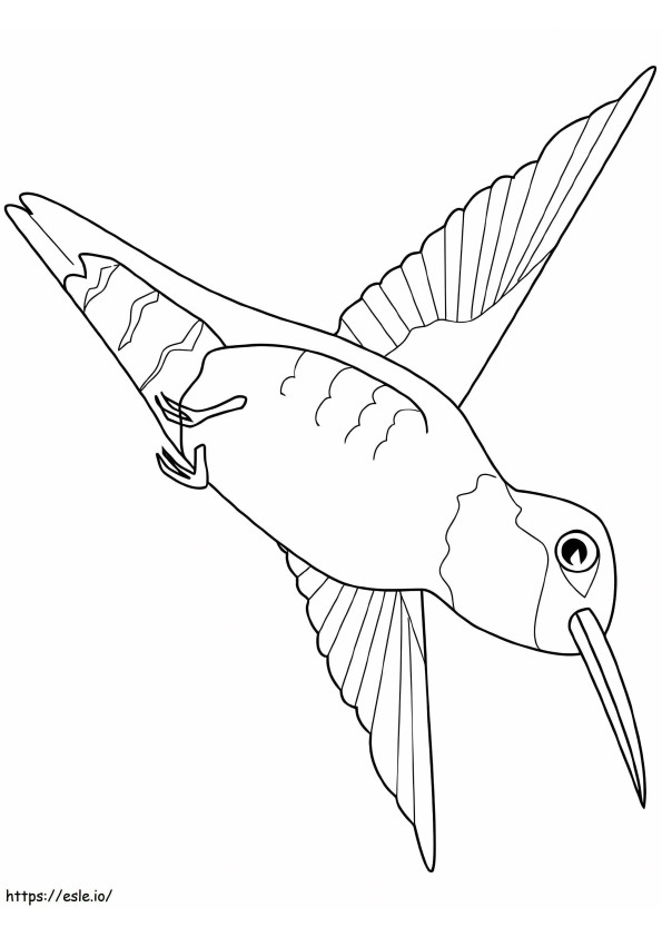 Coloriage Colibris volant à imprimer dessin