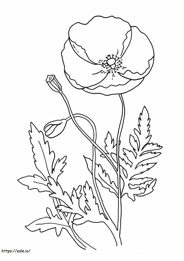 Poppy 5 coloring page