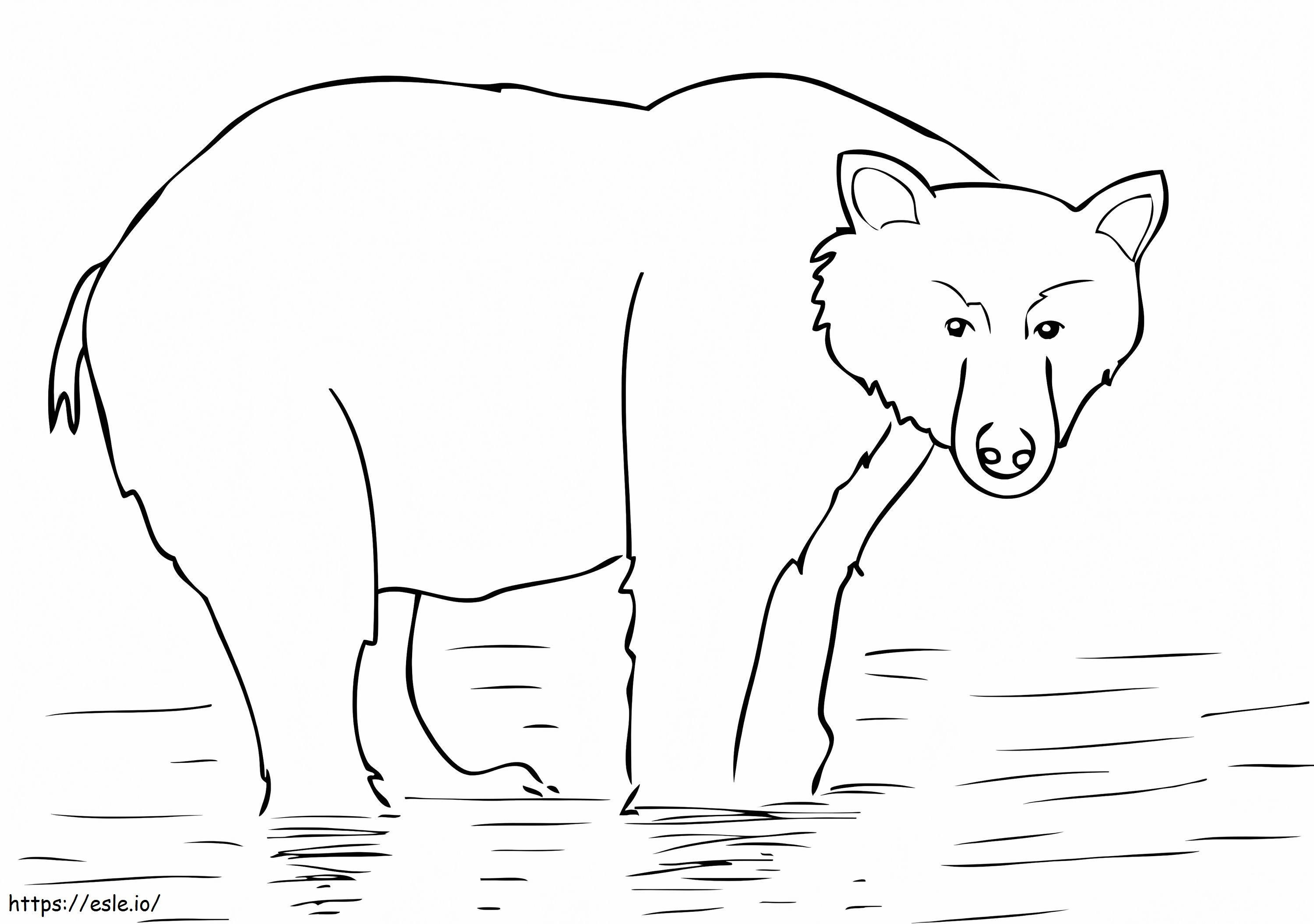 Ursul brun de Alaska de colorat