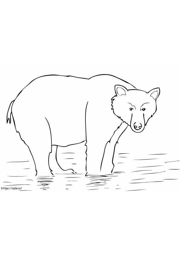 Urso Pardo do Alasca para colorir