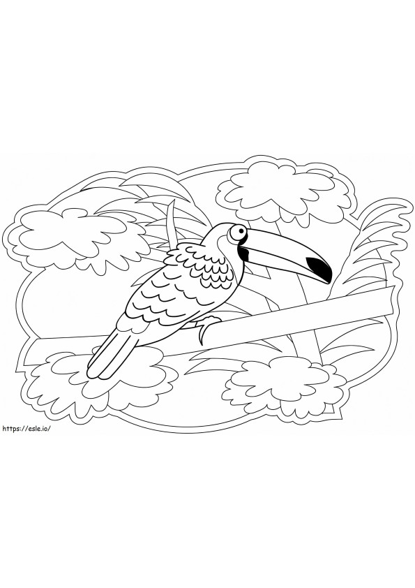 Tukan Ptak kolorowanka