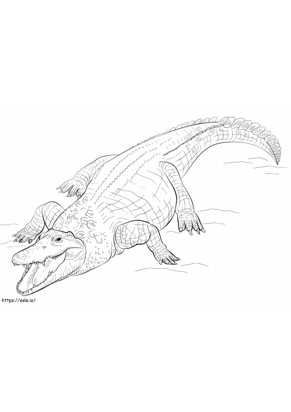 Nile Crocodile coloring page
