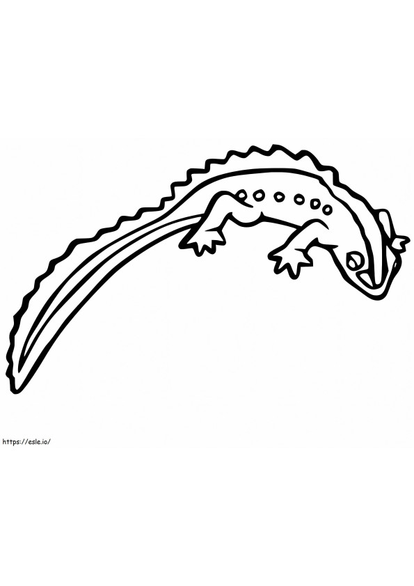 Free Newt coloring page