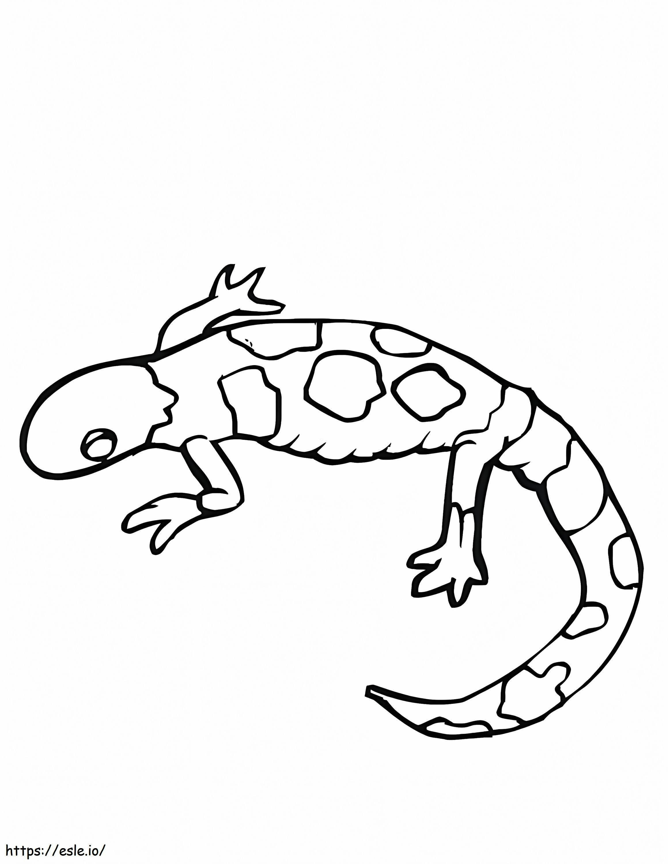 Imagini gratuite de Gecko de colorat