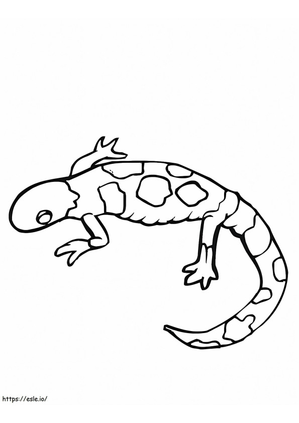 Imagini gratuite de Gecko de colorat