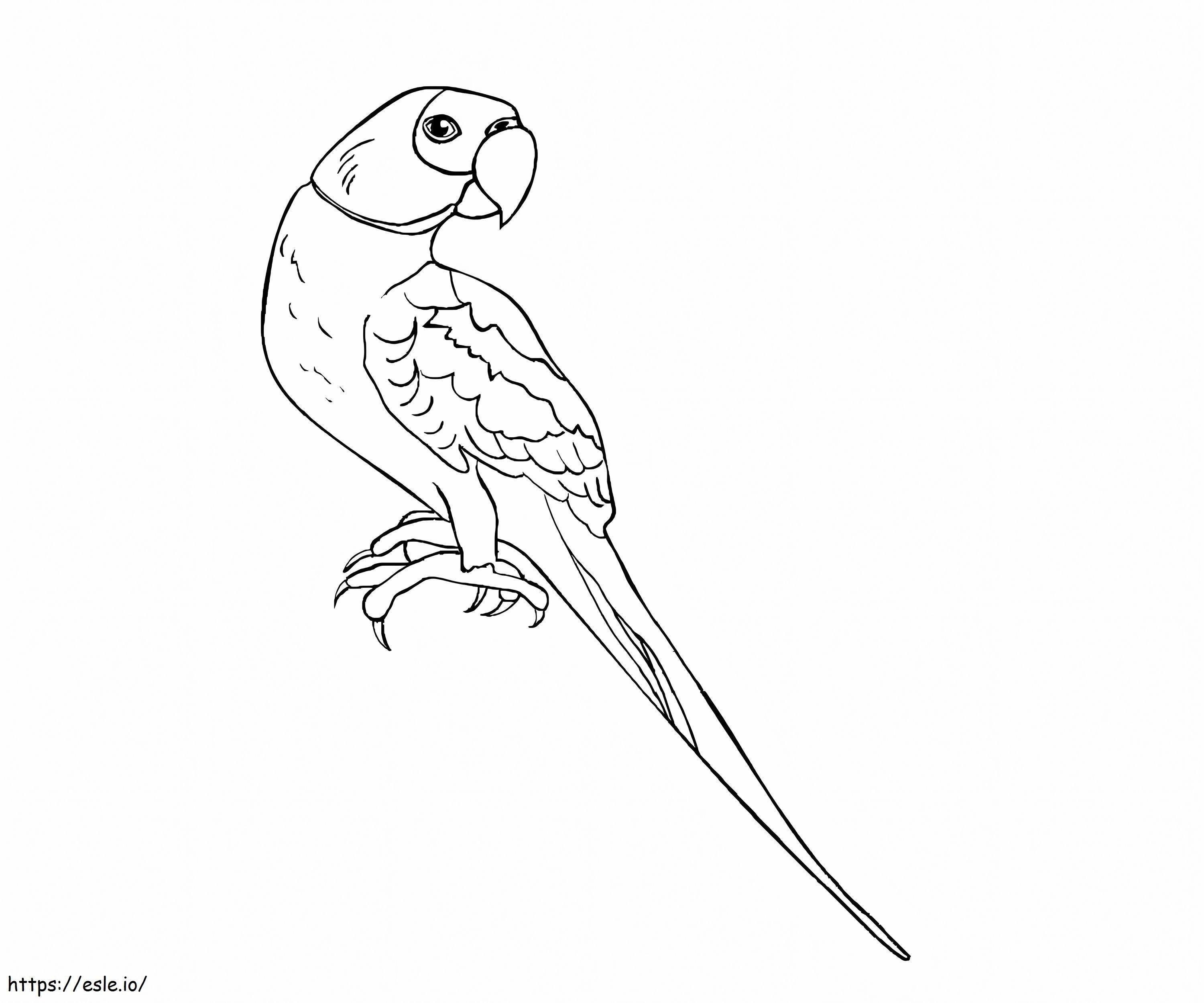 Parrot Free Images coloring page