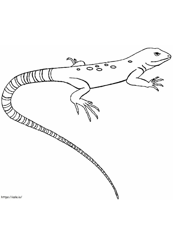Perfect Lizard coloring page