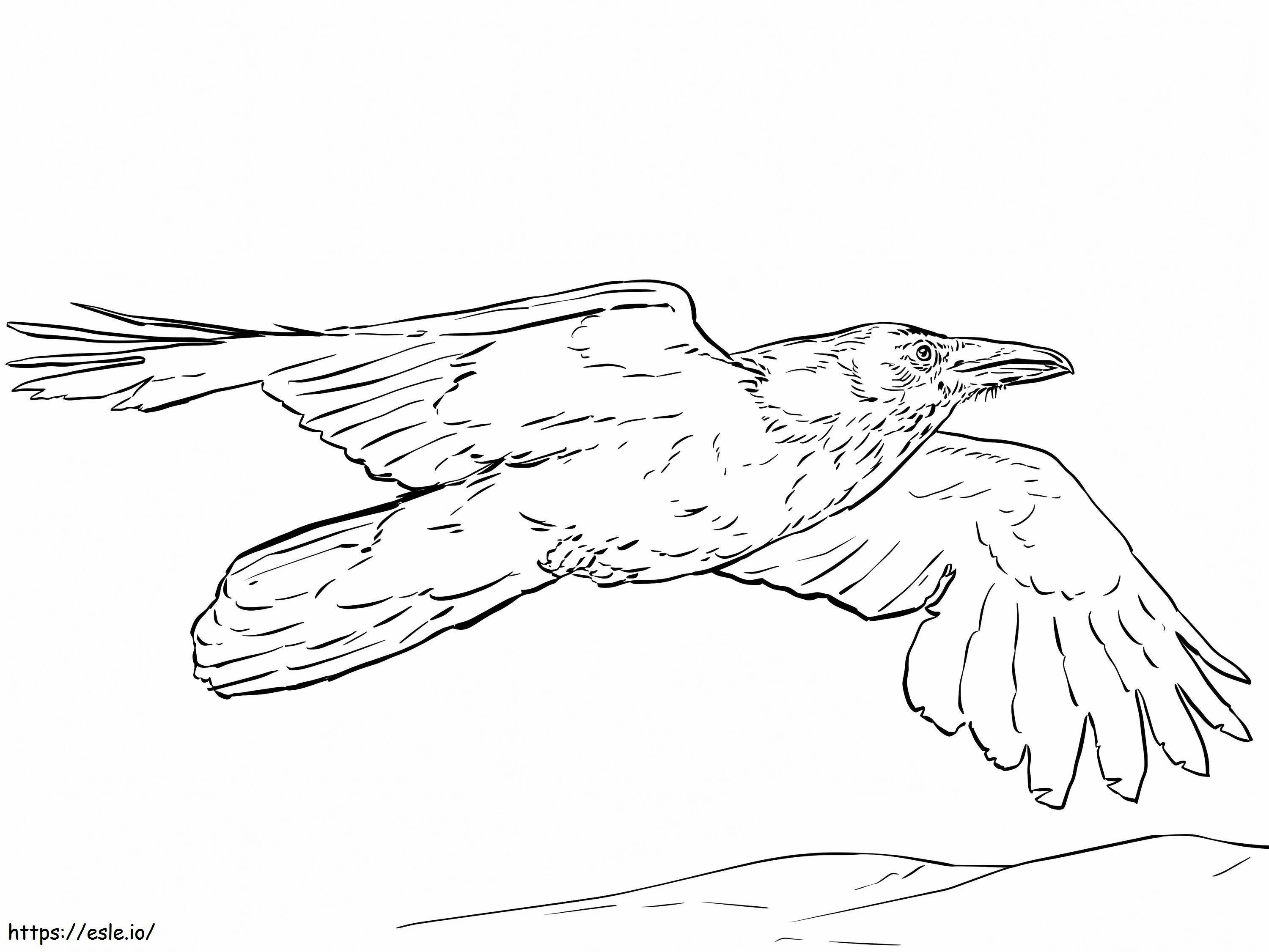 Cuervo volando para colorear