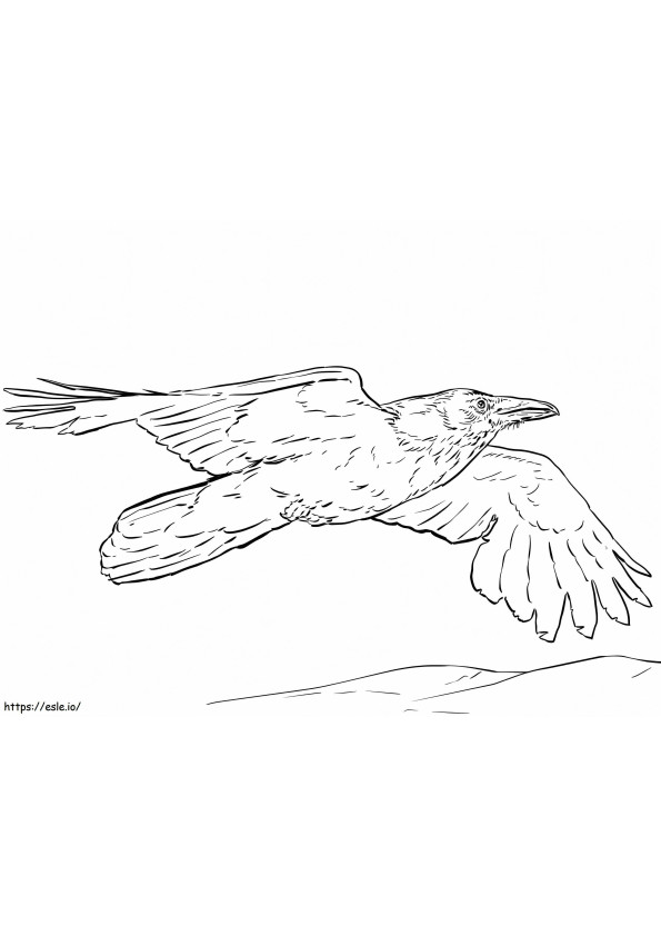 Cuervo volando para colorear