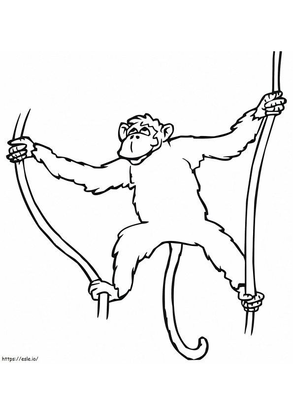 Macaco pendurado na liana para colorir