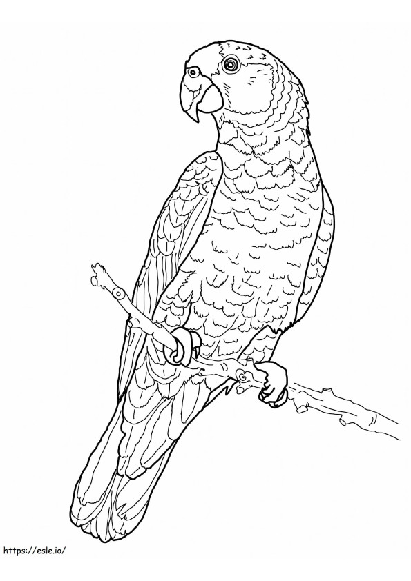 Incredible Parrot coloring page