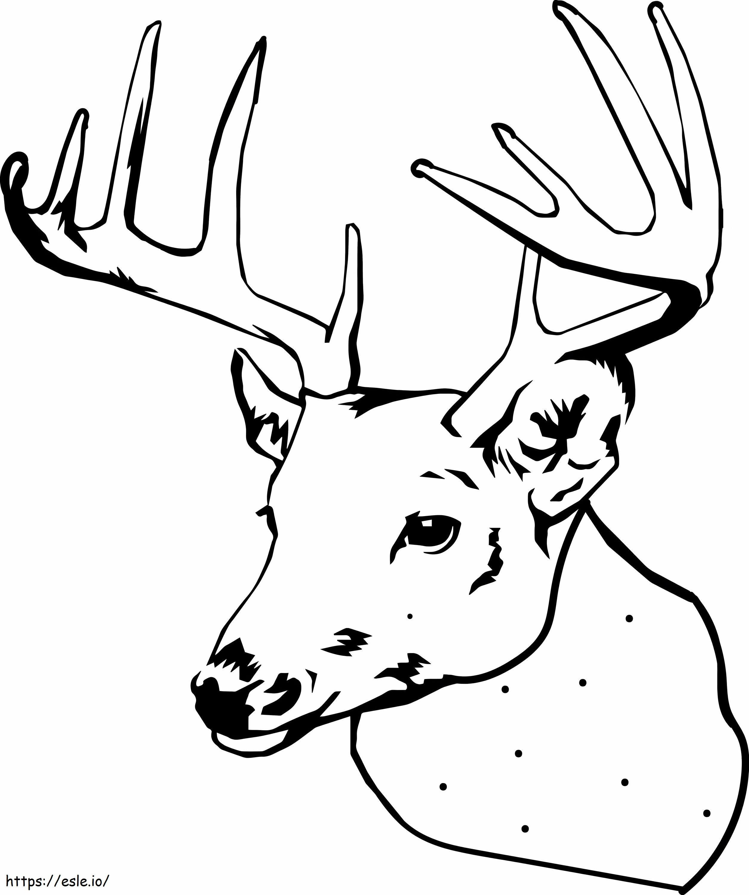 Moose Head coloring page