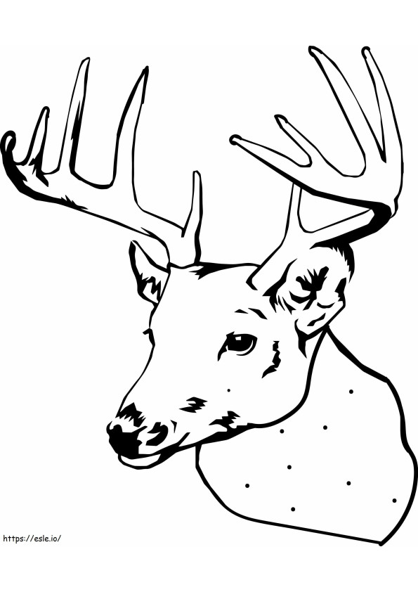 Moose Head coloring page