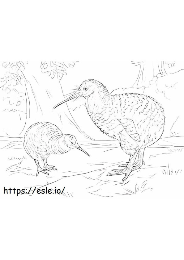 Two Large Spotted Kiwis coloring page