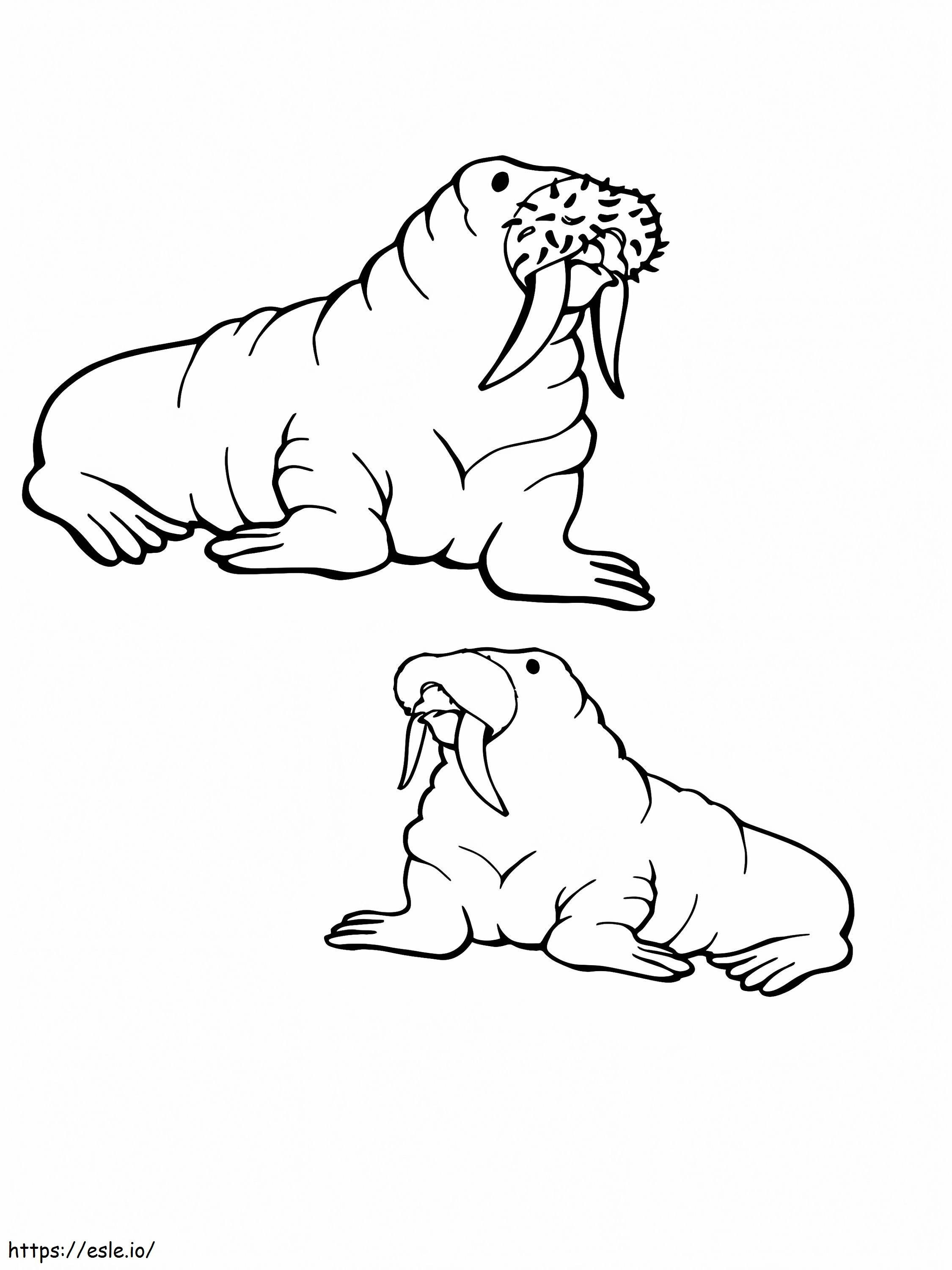 Duas velhas morsas, animais do Ártico para colorir