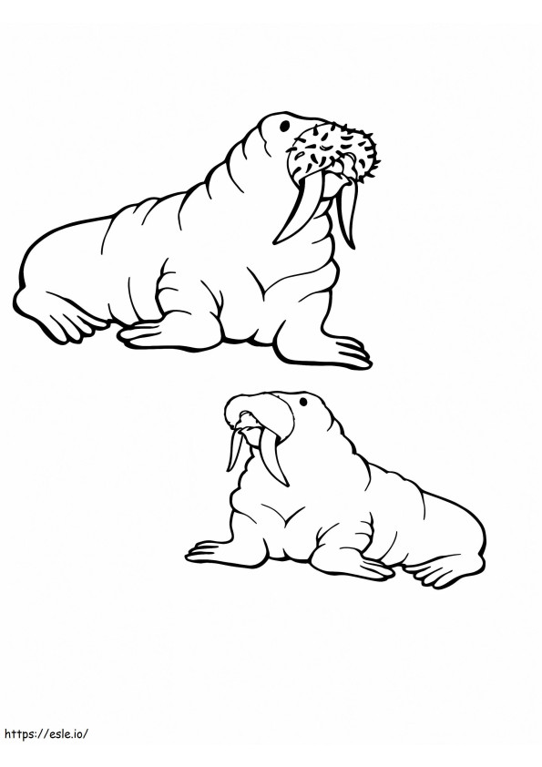 Twee oude walrussen pooldieren kleurplaat