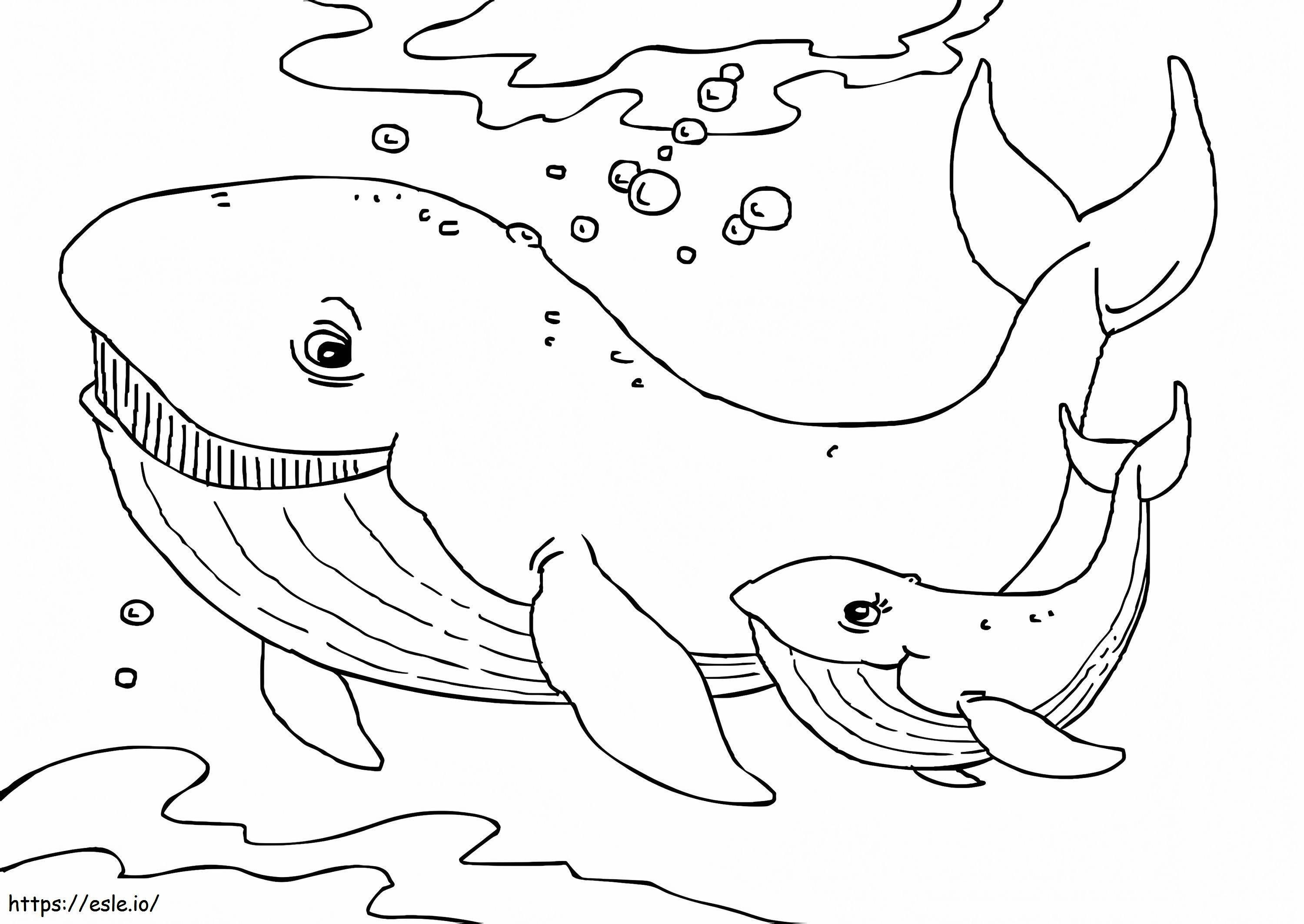 1541726936 Planse De Colorat Balena De Imprimat Gratuit Pentru Copii Gratis de colorat