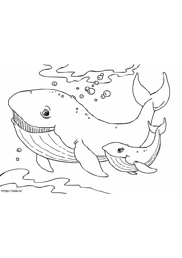 1541726936 クジラのぬり絵 無料で印刷できる子供向けのクジラ 無料 ぬりえ - 塗り絵