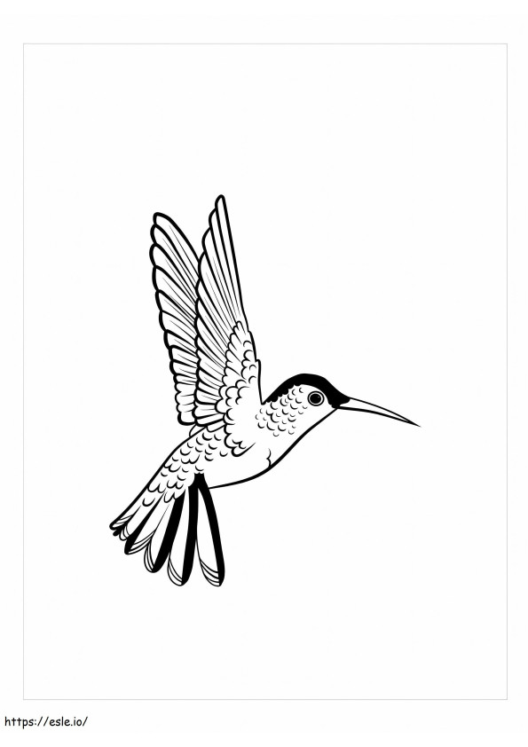 Ruby-Throated Hummingbird coloring page