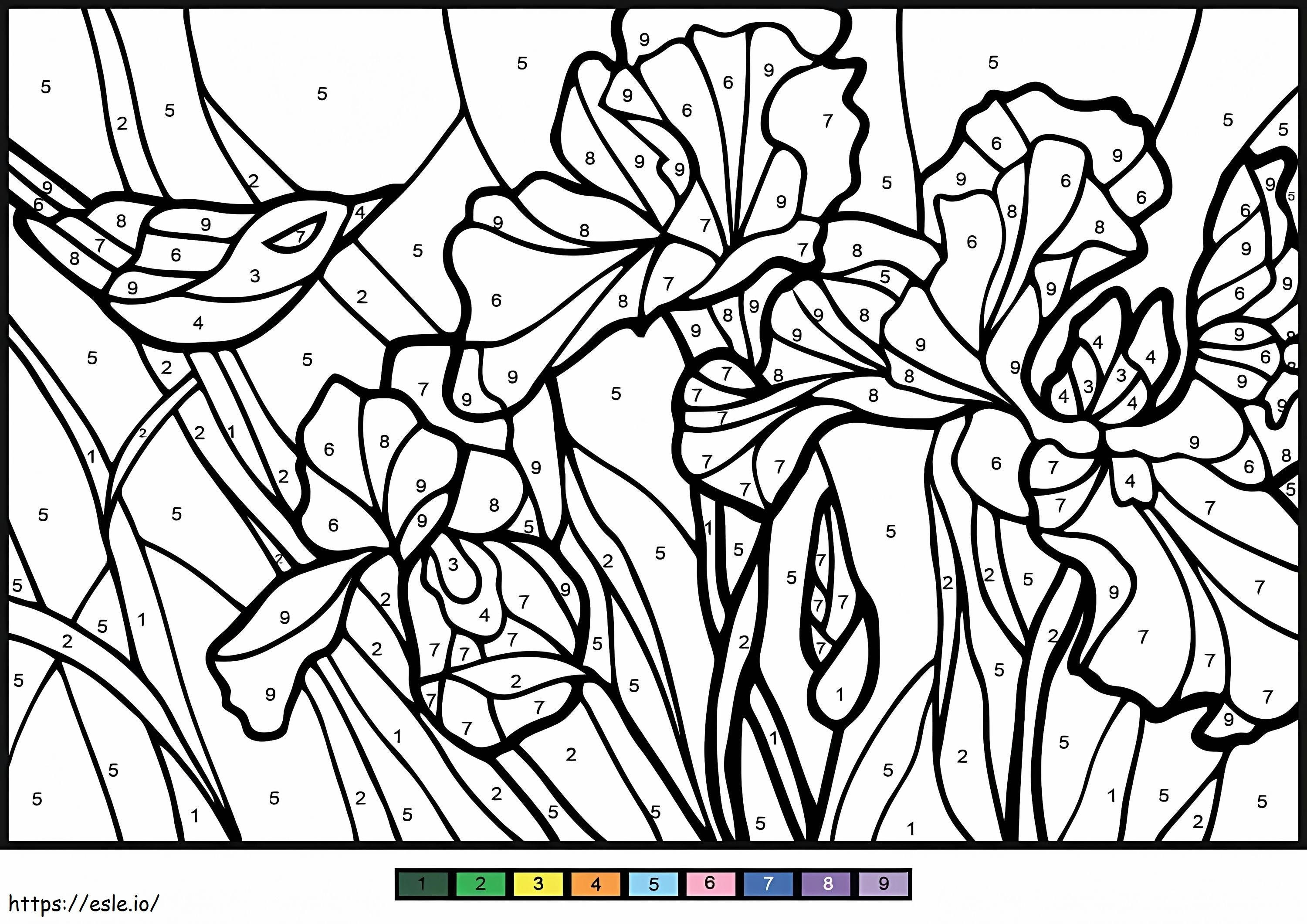 Irissen kleur op nummer kleurplaat kleurplaat