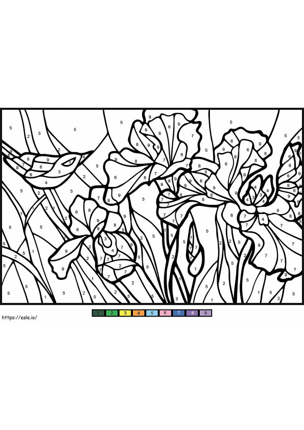 Irissen kleur op nummer kleurplaat