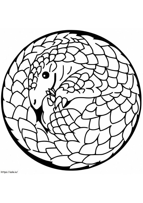 Pangolin pallo
