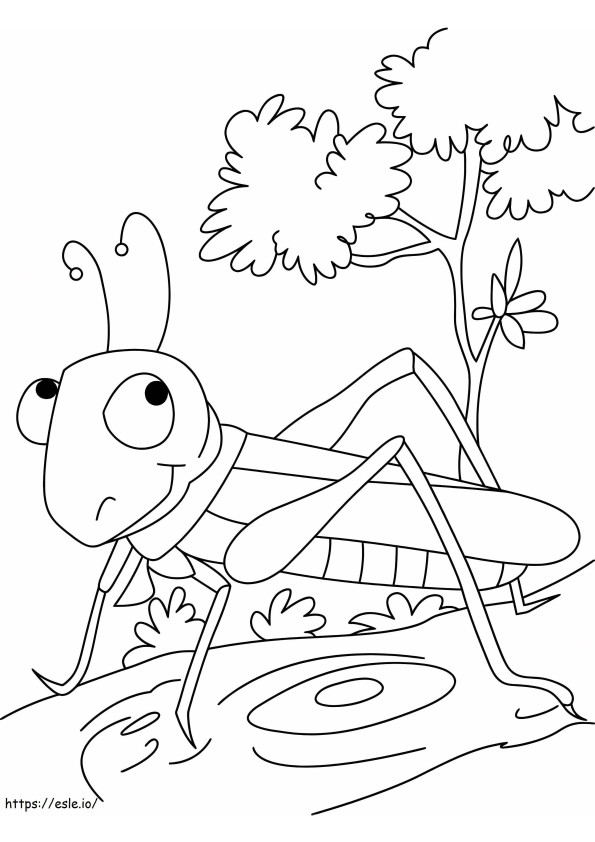 Coloriage Le spectacle des sauterelles à imprimer dessin