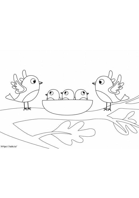 Família de pássaros para colorir