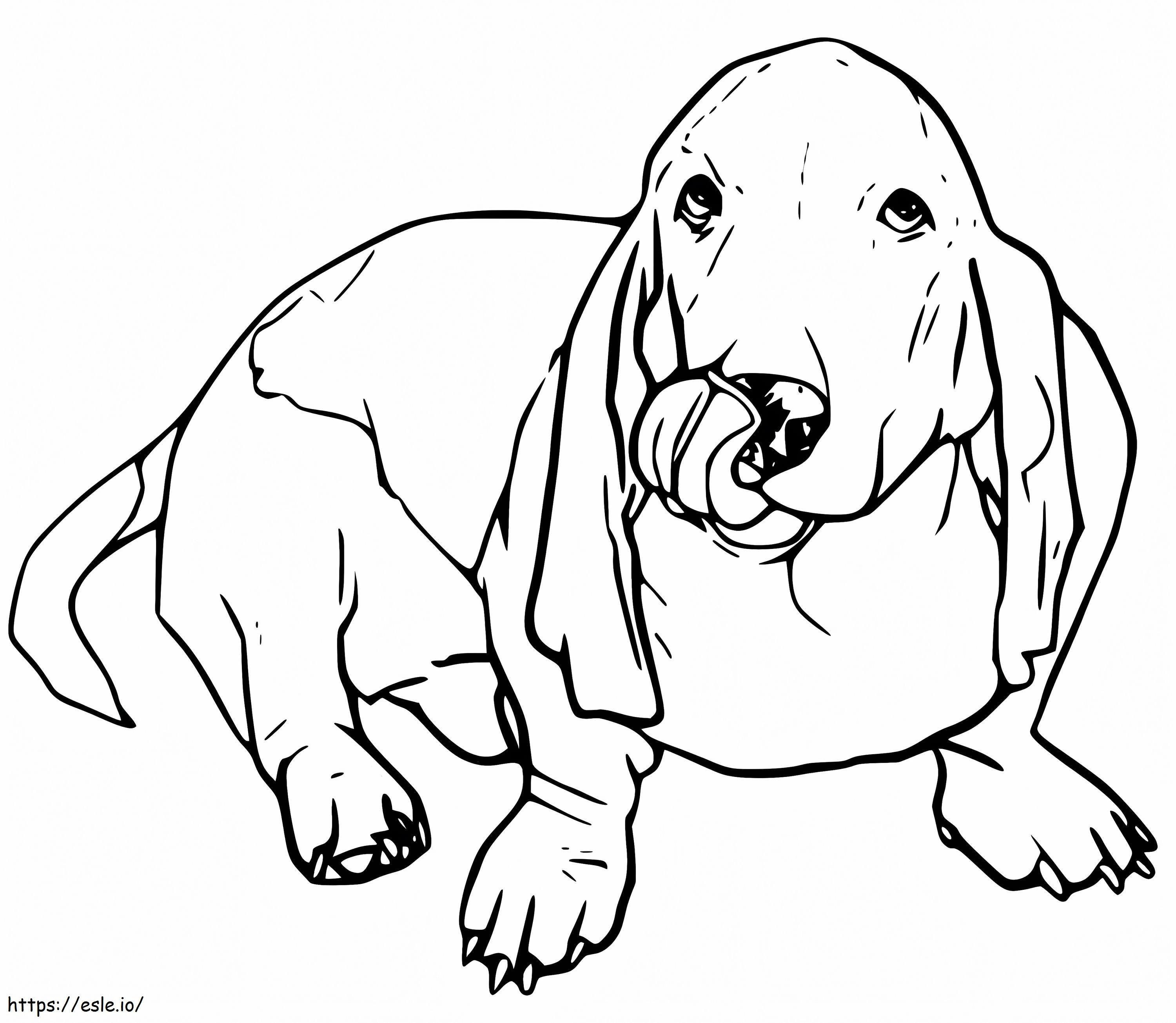 Basset Hound Printable coloring page