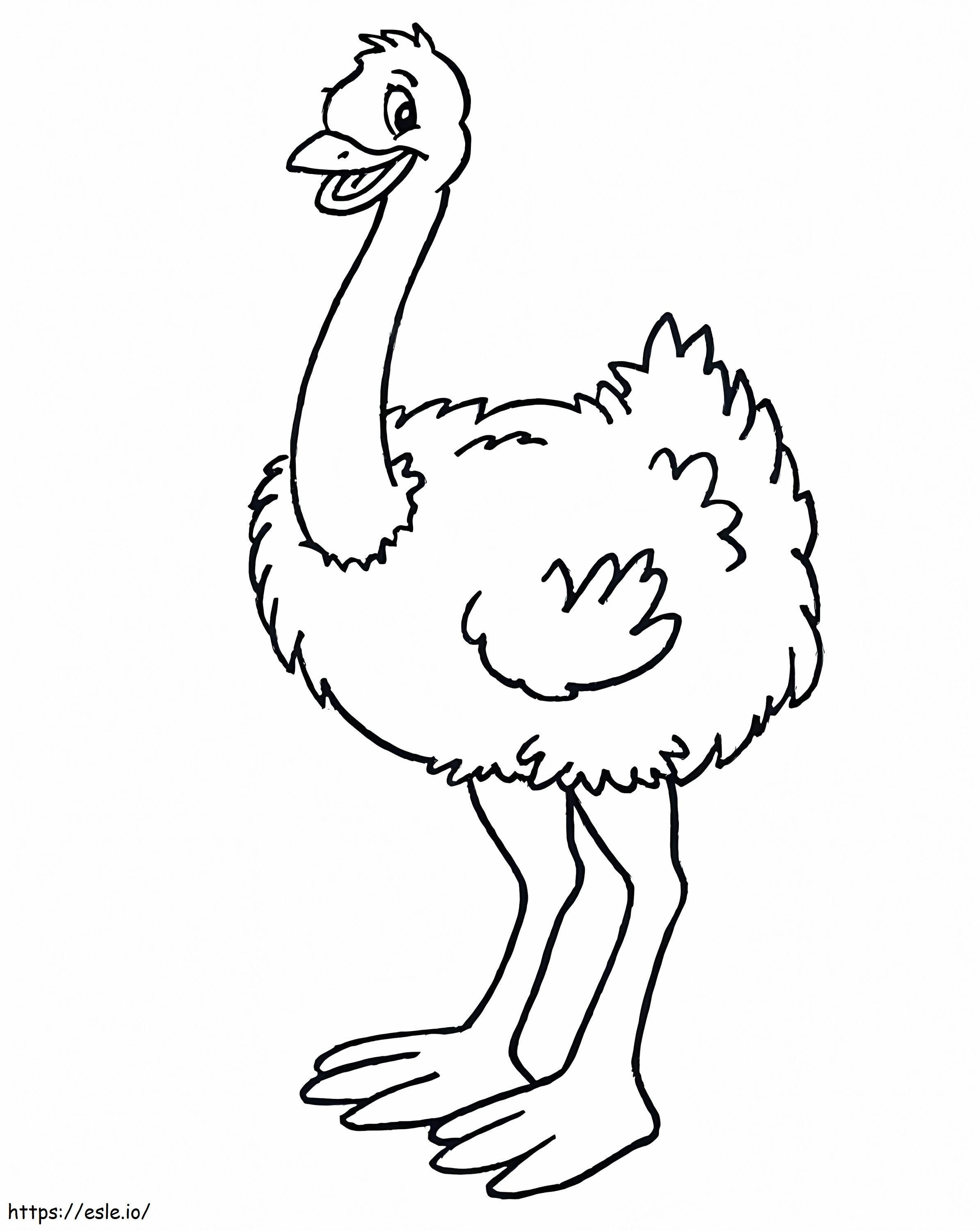 Struisvogel lacht kleurplaat kleurplaat